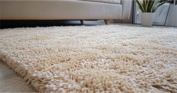 Top-Quality Rug Cleaning to Protect Your Investment