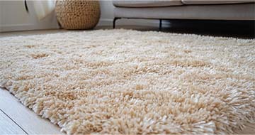 Why Choose Our Professional Rug Cleaners in Ealing?