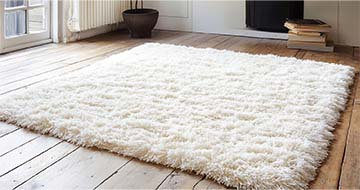 Meet Our Professional Rug Cleaning Technicians in Archway