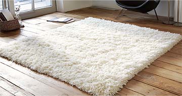 Meet Our Professional Rug Cleaning Technicians in Balham