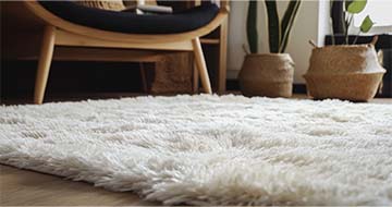 Meet Our Rug Cleaning Specialists in Bayswater