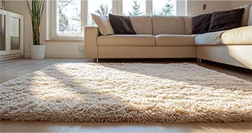 Why Choose Bow Rug Cleaning for Exceptional Results