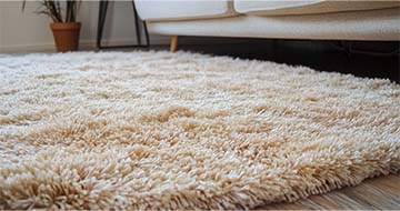 Meet Our Professional Rug Cleaners