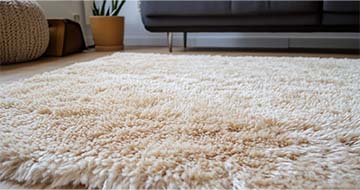Meet Our Professional Rug Cleaners