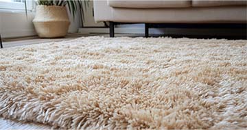 Why Choose Our Rug Cleaning Services in Canning Town?