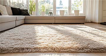 Meet Dalston’s Professional Rug Cleaning Experts