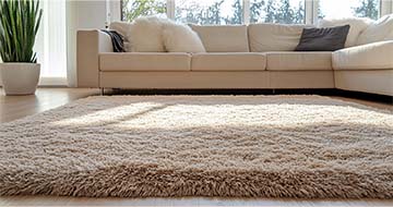 Meet the Rug Cleaning Professionals Serving Deptford