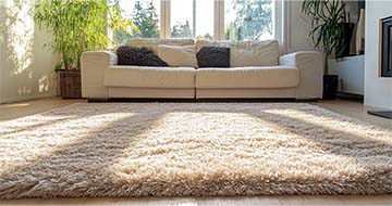 Meet the Professional Rug Cleaners Serving Earls Court