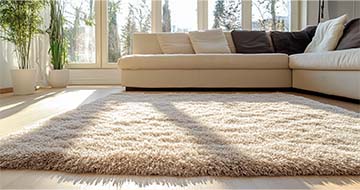 Meet Our Expert Rug Cleaners in East Finchley