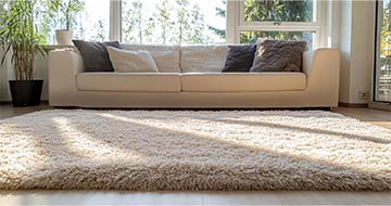 Why Choose Our Rug Cleaning Service in Elephant and Castle?