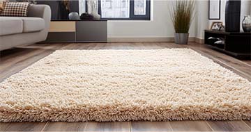 Meet the Rug Cleaning Professionals in Farringdon