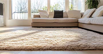 Exceptional Rug Cleaning Service in Fitzrovia