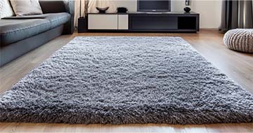 Meet Our Expert Rug Cleaners in Forest Gate