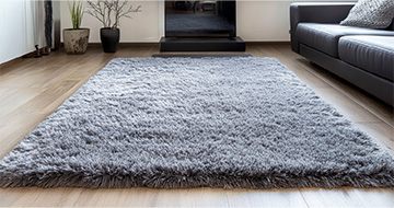 Experienced Rug Cleaning Professionals in Gipsy Hill