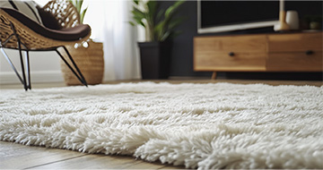 Trained Specialists Delivering Safe, Reliable Rug Cleaning
