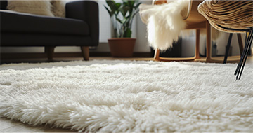 Meet Our Expert Rug Cleaning Team in Hanwell