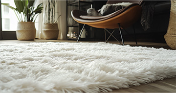 Meet the Harlesden Rug Cleaning Experts