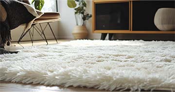 Why Choose Our Richmond Rug Cleaning Service?