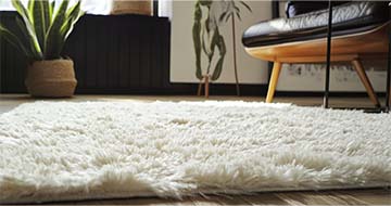 Meet the Richmond Rug Cleaning Experts