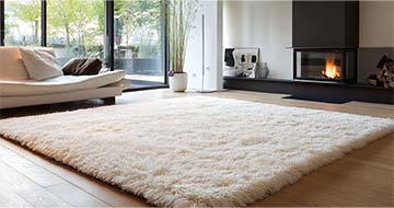 Why Choose Our Highgate Rug Cleaning Service?