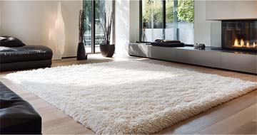 Meet Your Local Rug Cleaning Experts in Highgate