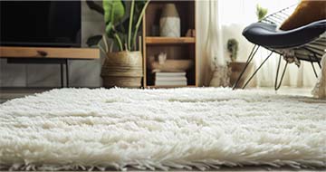 Meet the Hither Green Rug Cleaning Professionals