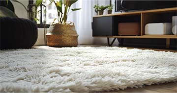 Meet Our Experienced Rug Cleaning Specialists in Homerton