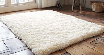 Meet the Professional Rug Cleaners of Hoxton