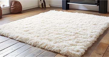 Meet the Rug Cleaning Experts of Kentish Town
