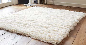Meet Our Expert Rug Cleaning Professionals in Lee
