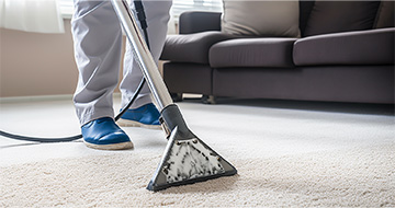 Meet Your Local Carpet Cleaning Experts in Fairlop