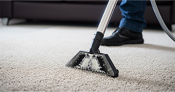Experience Clean Carpets with Our Professionals