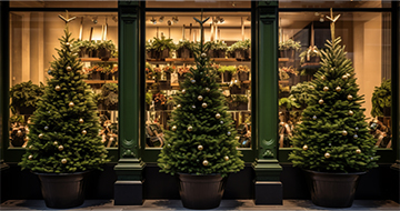 Why Choose Our Christmas Tree Delivery Service in Fulham?