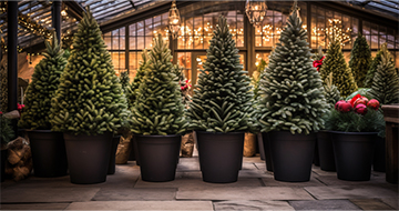 Spread Holiday Cheer with Doorstep Christmas Tree Delivery in Wimbledon