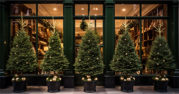 Why Choose Our Christmas Tree Delivery in Putney?