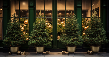 Spread Cheer this Holiday Season with Our Christmas Tree Delivery Service in Chiswick