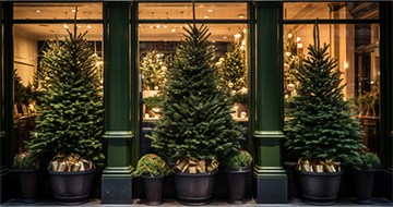 Why Choose Our Christmas Tree Delivery in Brixton?