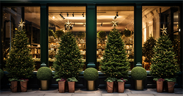 Why Choose Our Christmas Tree Delivery in Walthamstow?