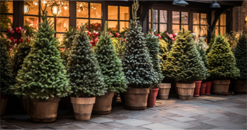 What Sets Our Christmas Tree Delivery in Tooting Apart?