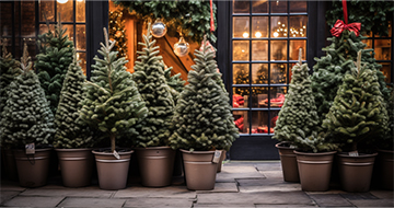 Spread Holiday Joy with Our Christmas Tree Delivery Service in Tooting