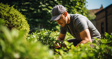 Who are our experienced local gardeners in Hammersmith?