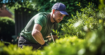 Fully Trained and Insured Local Gardeners in Hanwell