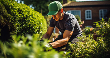Why Choose Fantastic Finsbury Park Gardeners for Your Gardening Needs