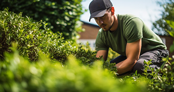 Why Choose Our Gardening in South West London for Quality Results?