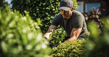 How Do Our Gardeners in South West London Work Step by Step?