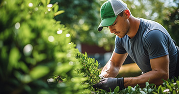 Why to Book a Gardening Service in Dorking With Us?