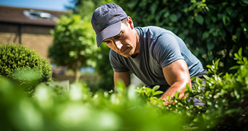 Experienced and Trained Gardening Staff in Dorking