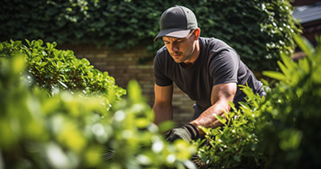 Why Choose Fantastic Dulwich Gardeners for Professional Garden Care