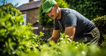 We Provide the Best Garden Service in Banbury