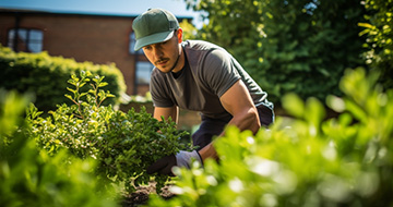 Why you Should Choose our Gardening Services in Rotherhithe 